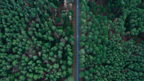 Nhận định về cần bán nhà hà nội - Nơi tập kết hoàn toàn quý hãn hữu của tiêu khiển nghịch ngay